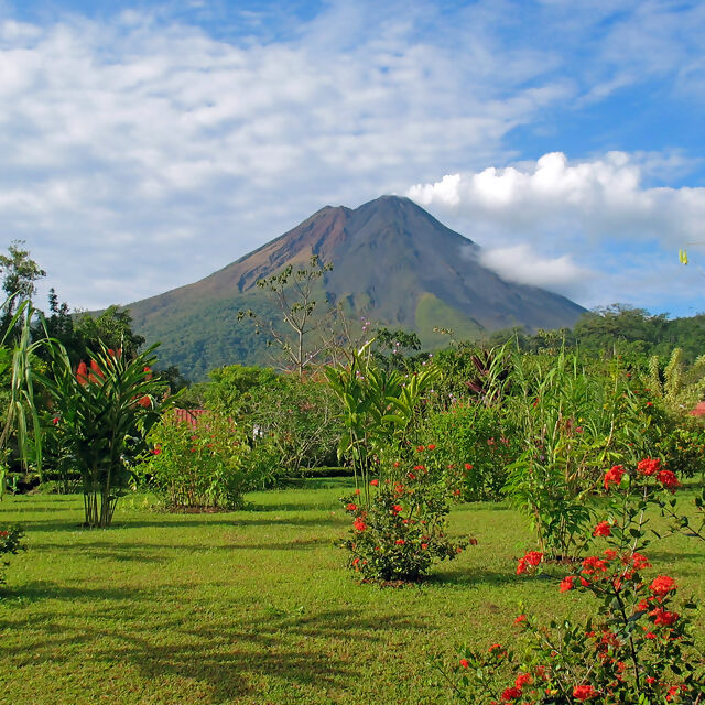 Costa Rica: A World of Nature featuring Tortuguero National Park, Arenal Volcano & Manuel Antonio National Park